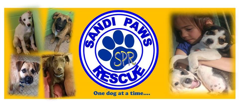 Sandi Paws Rescue Monthly Transport and Adoption Event