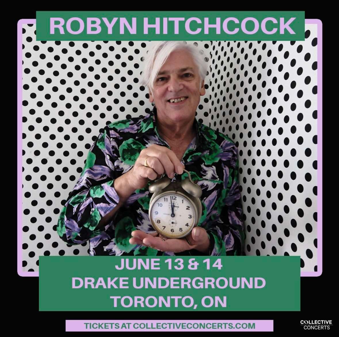 Robyn Hitchcock at Bowery Ballroom
