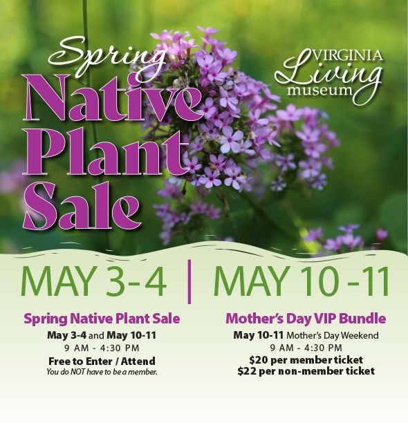 Spring Native Plant Sale 