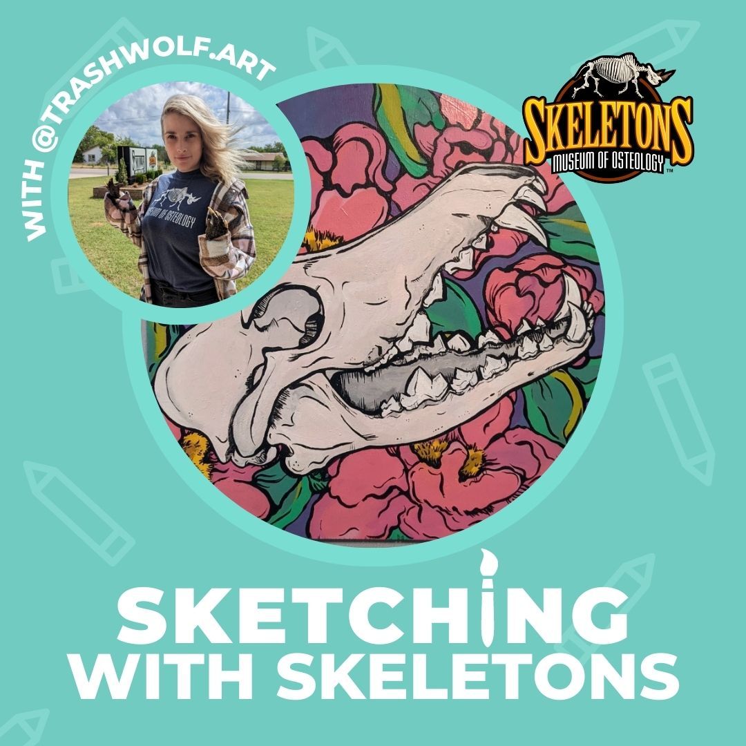 Sketching With Skeletons: "Skull" Life Class