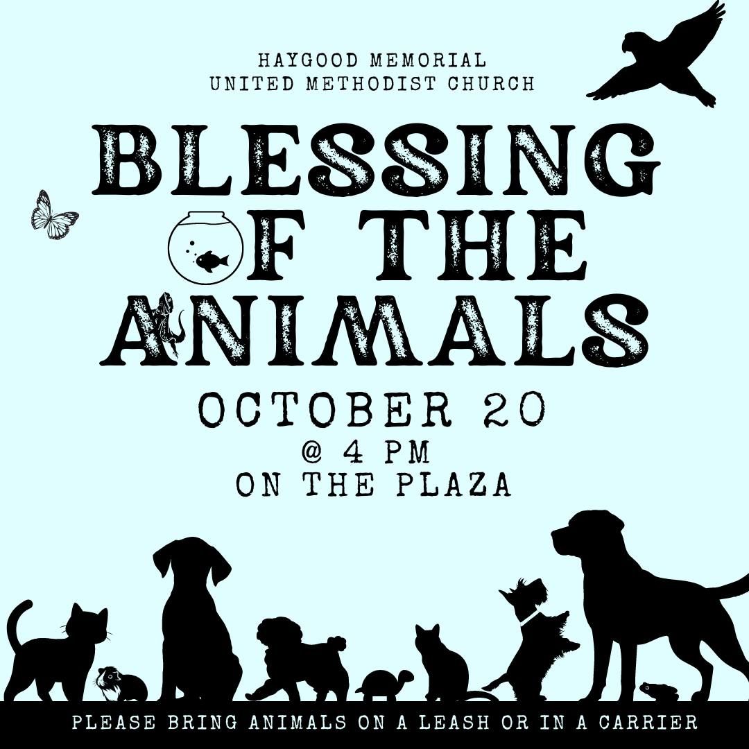 Blessing of the Animals