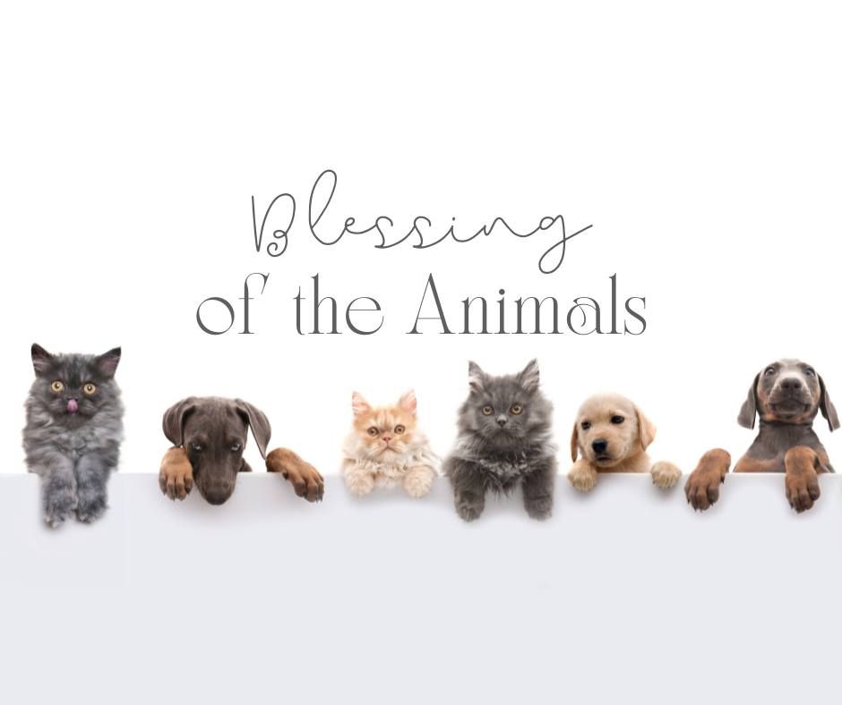 Blessing of the Animals