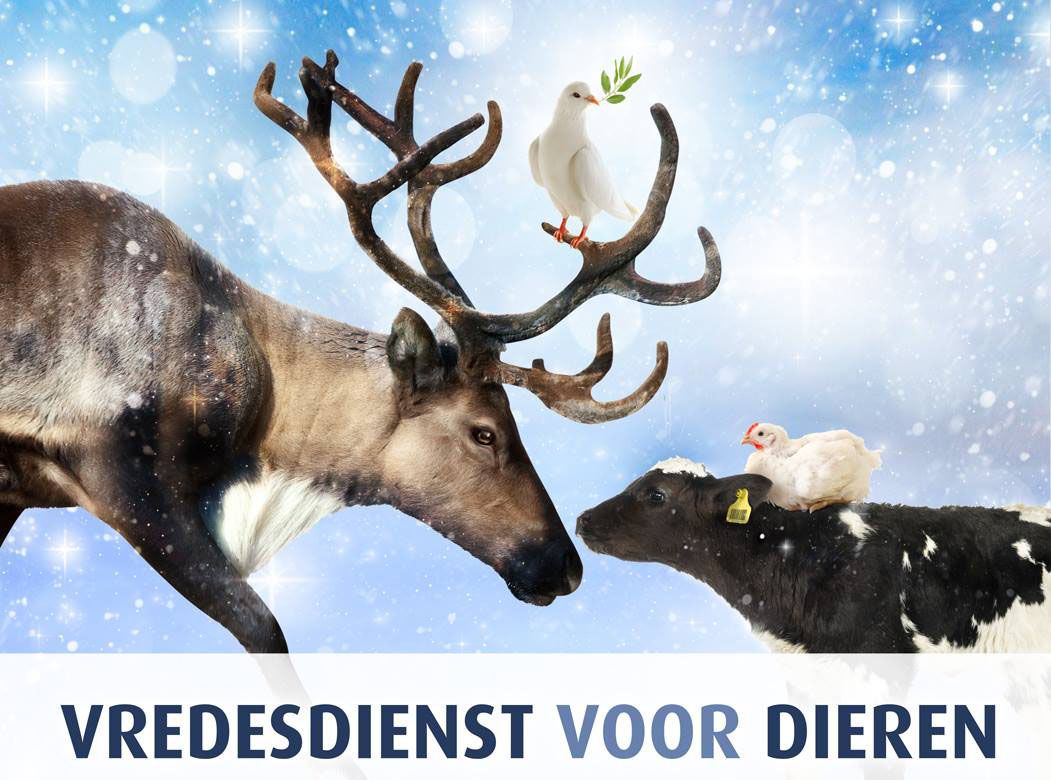 11e Vredesdienst voor dieren