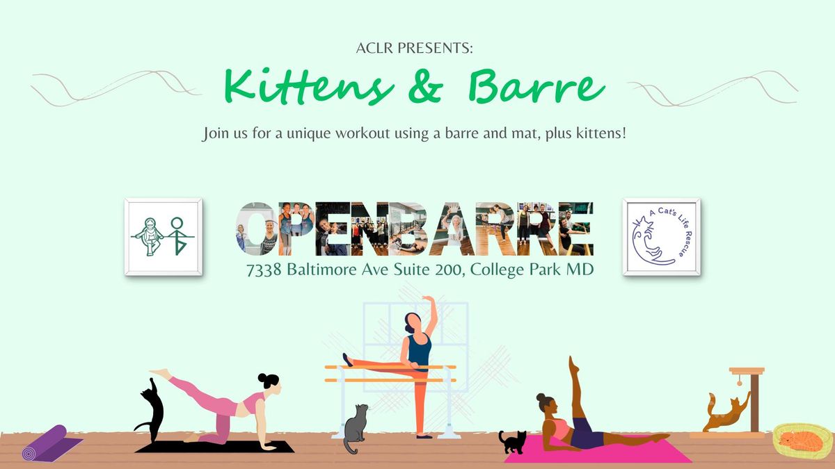 Kittens & Barre class