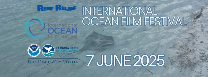 International Ocean Film Festival