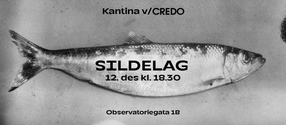 Sildelag i Kantina v\/Credo