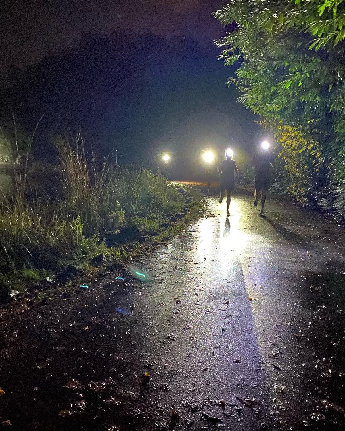 Torchlit Trails on Tour (Mugdock)