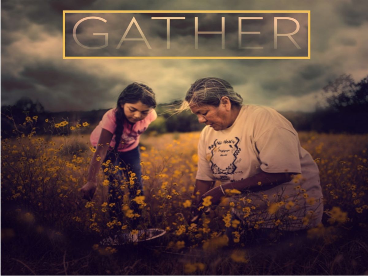 Gather - An Indigenous Film Screening