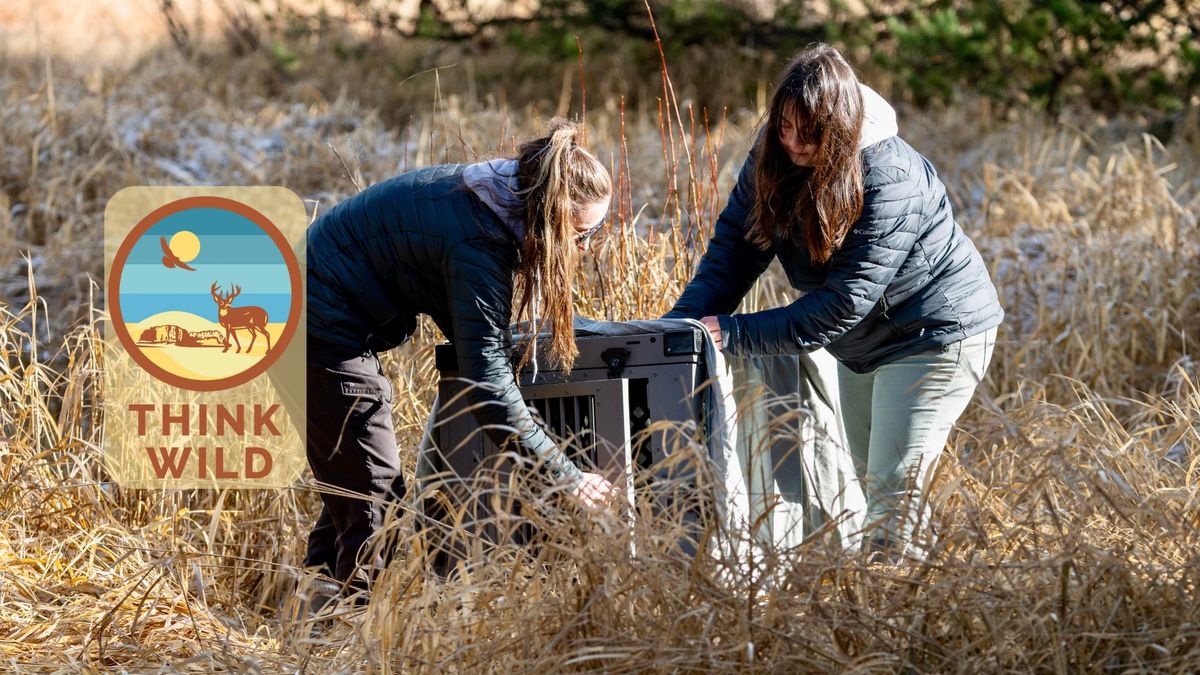 Working with Wildlife: A Journey Through Rehab, Sanctuaries, and Zoos