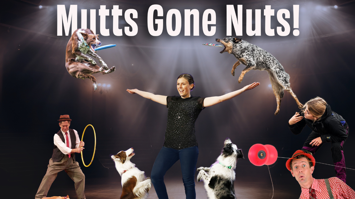 Mutts Gone Nuts- Unleashed at Grand Opera House Oshkosh
