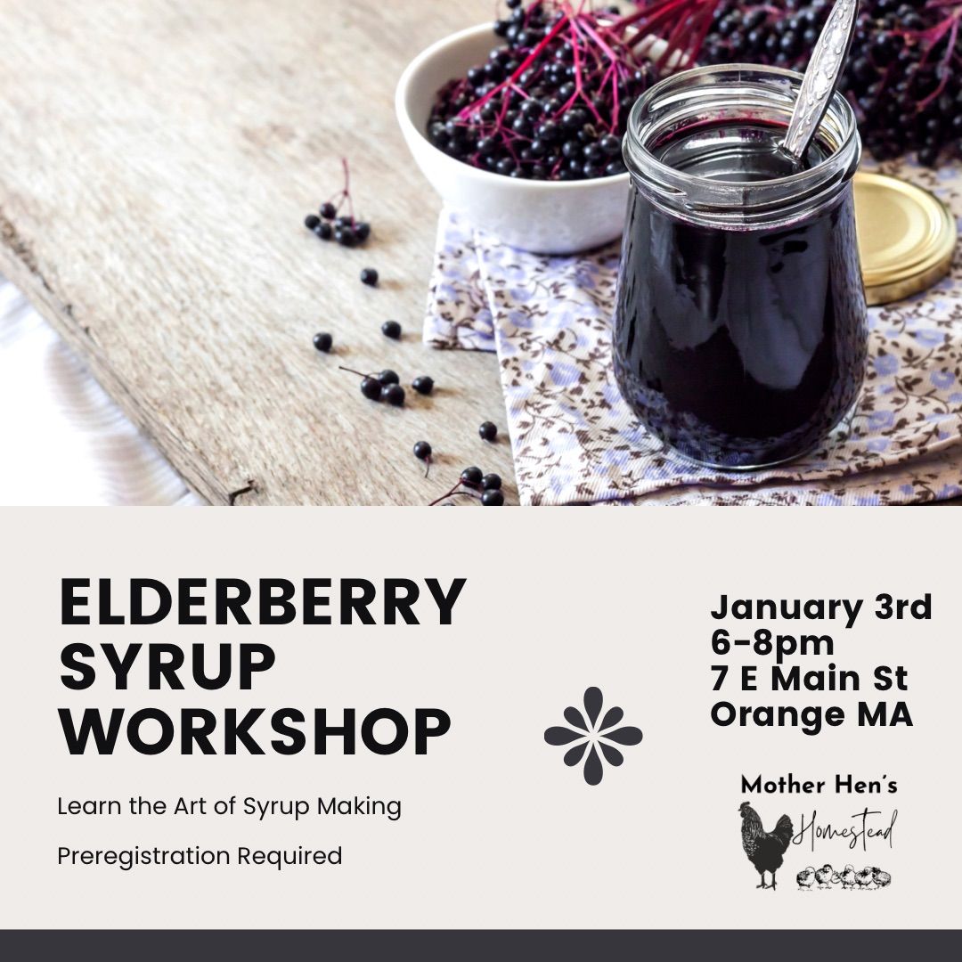 Elderberry Syrup Workshop 