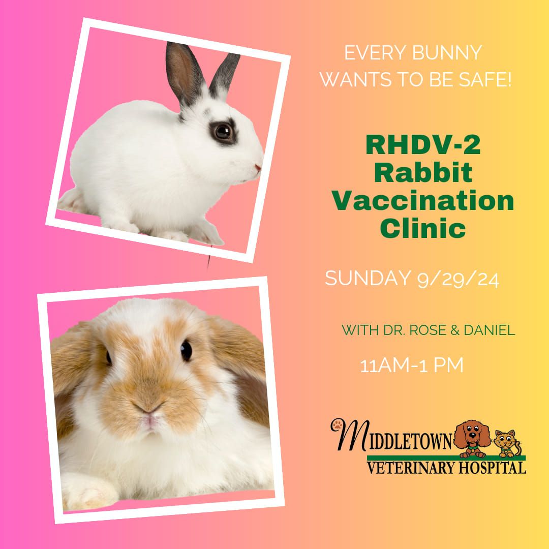 Rabbit Vaccine Clinic