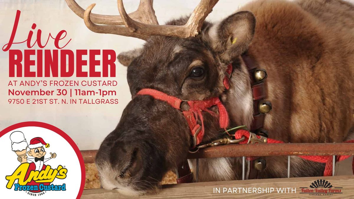 LIVE Reindeer at Andy's Frozen Custard in Tallgrass!