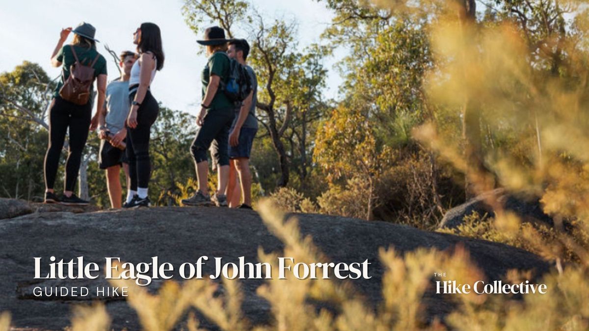 Explore The Little Eagle of John Forrest