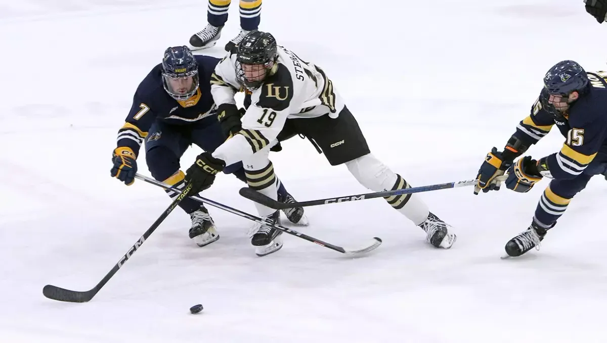 Lindenwood Lions at Augustana Vikings Mens Hockey