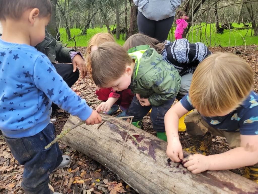 Forest Friends Nature Playgroup  