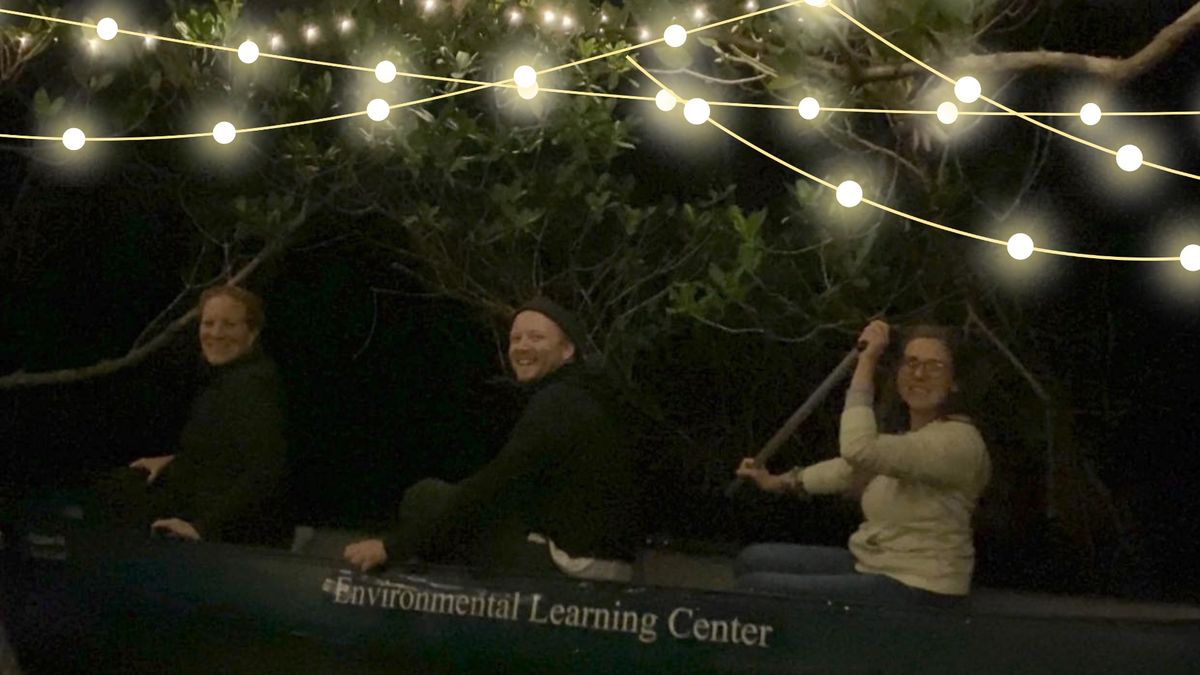 Free for teens! Y-ELC Volunteering at WinterGreen Night Lights