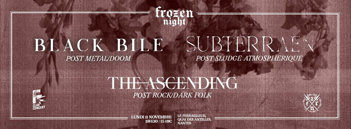 Frozen Night #13 : Black Bile + Subterraen + The Ascending (Nantes)