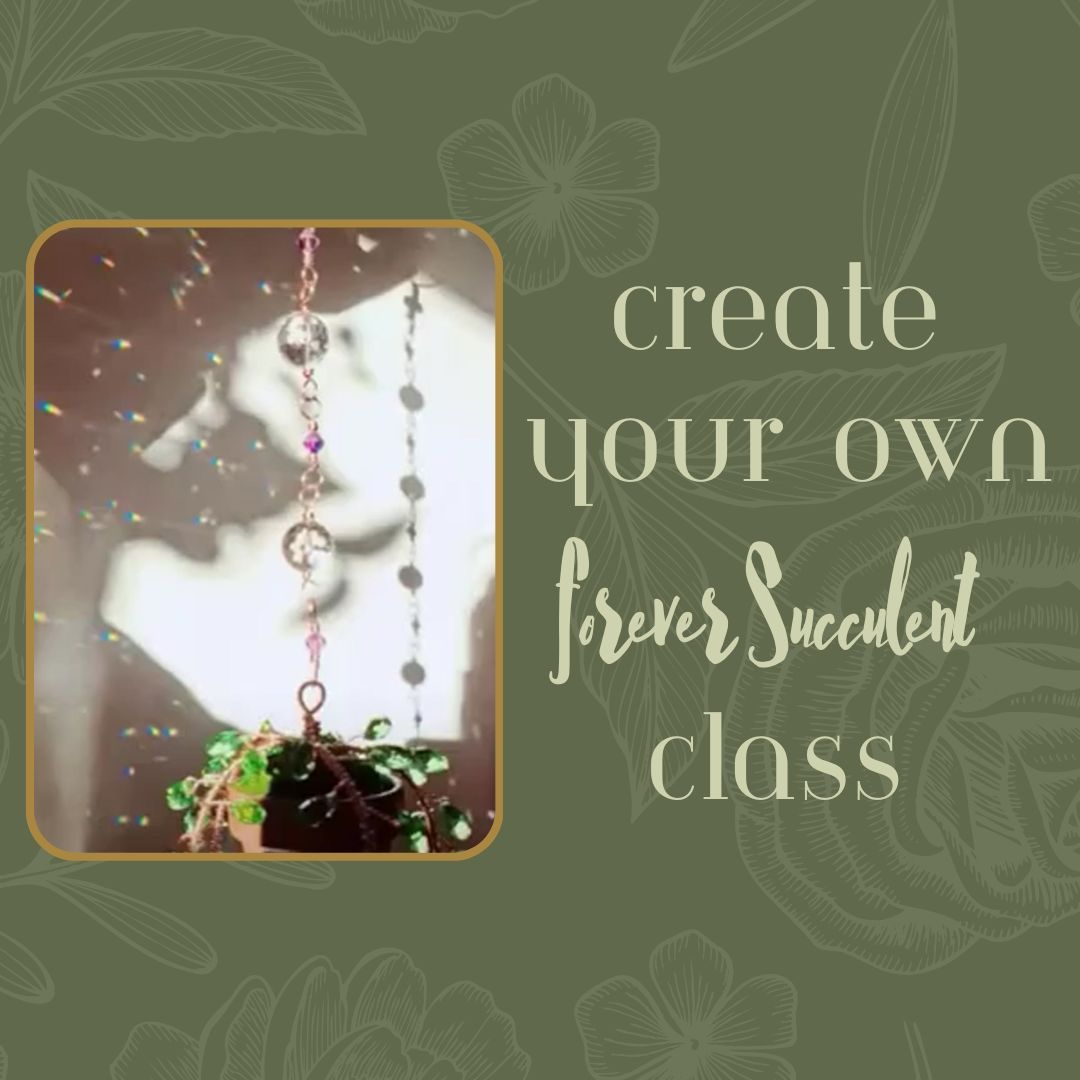 Create your own succulent class