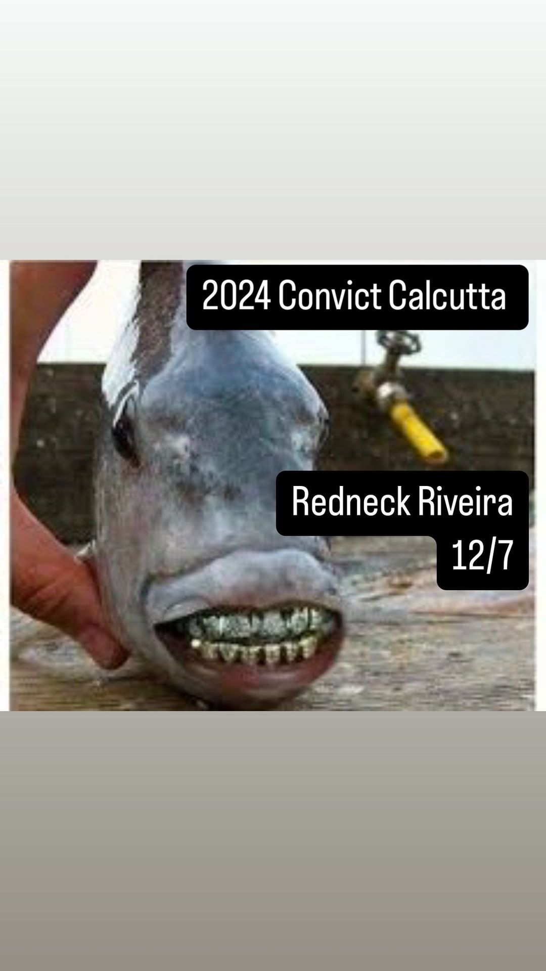 2024 Convict Calcutta 