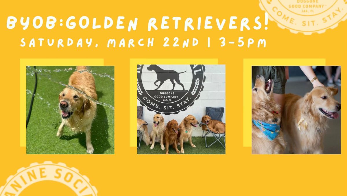 BYOB: Golden Retrievers!