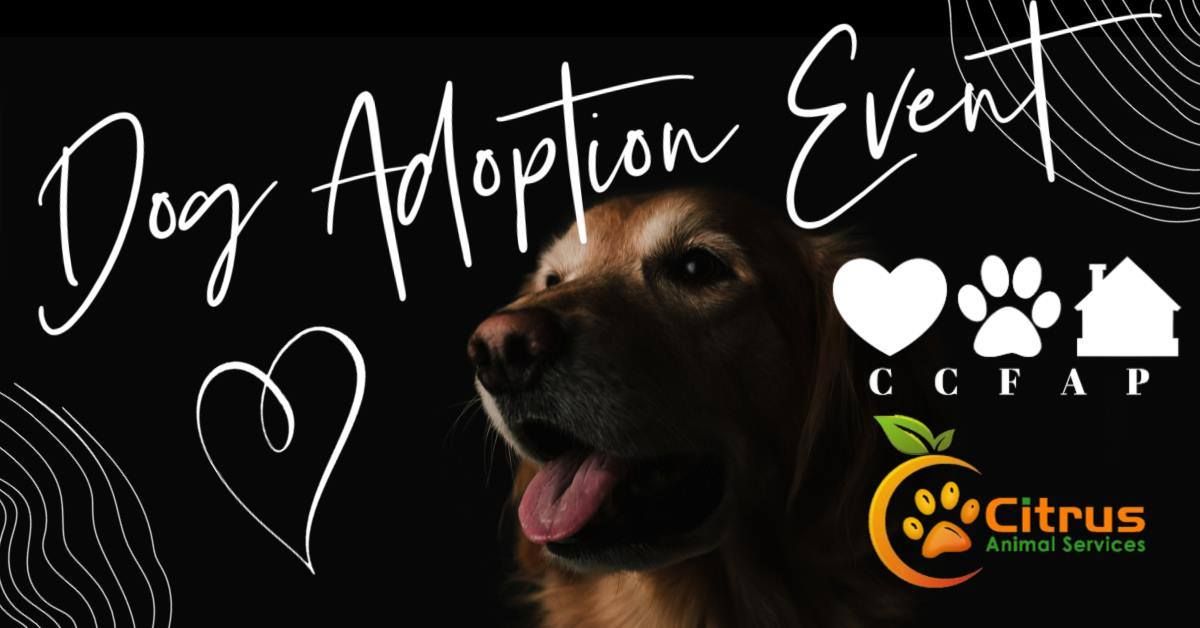 Adoption Event at Rural King, Crystal River 1\/11\/25