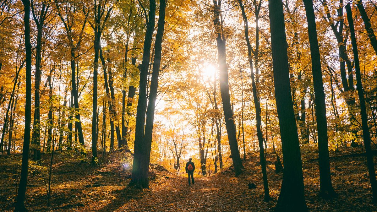 Touchstones Winchester: A Six-Session Workshop on Understanding Your Grief