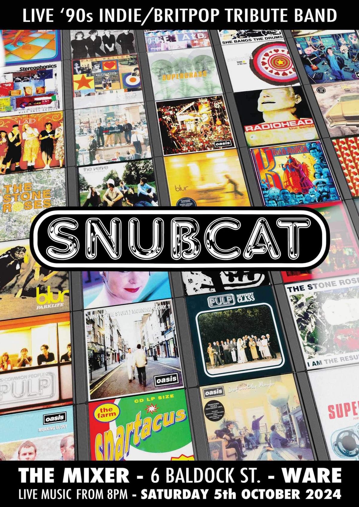 Snubcat - Live Music