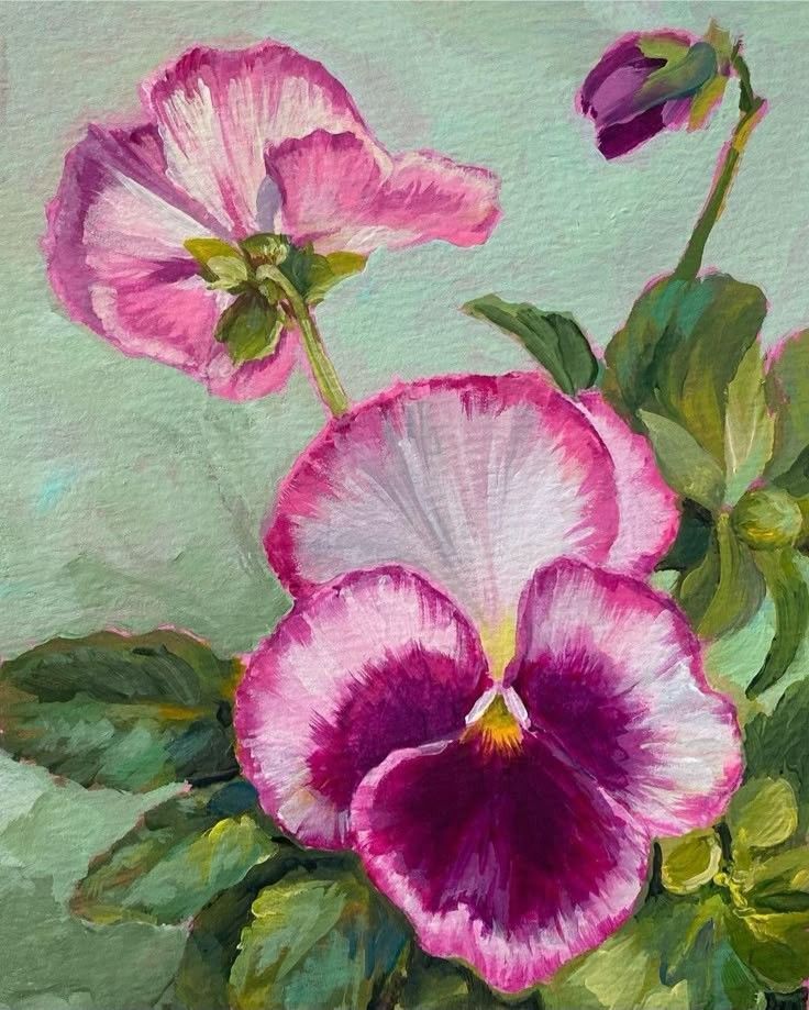 Purple Pansy