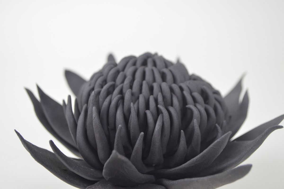 Ceramic Flower Making Workshop with Maria Shaw