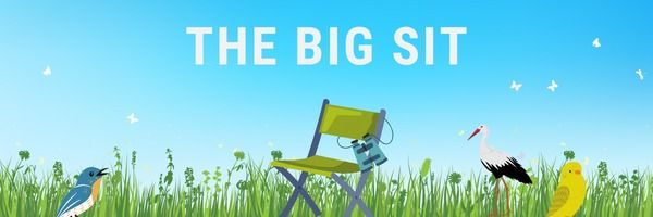 A Big Sit: Accessible Birding - October 5, 2024