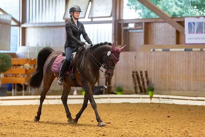 Working Equitation Kurs inkl. Dressurarbeit mit Monika Hiebl