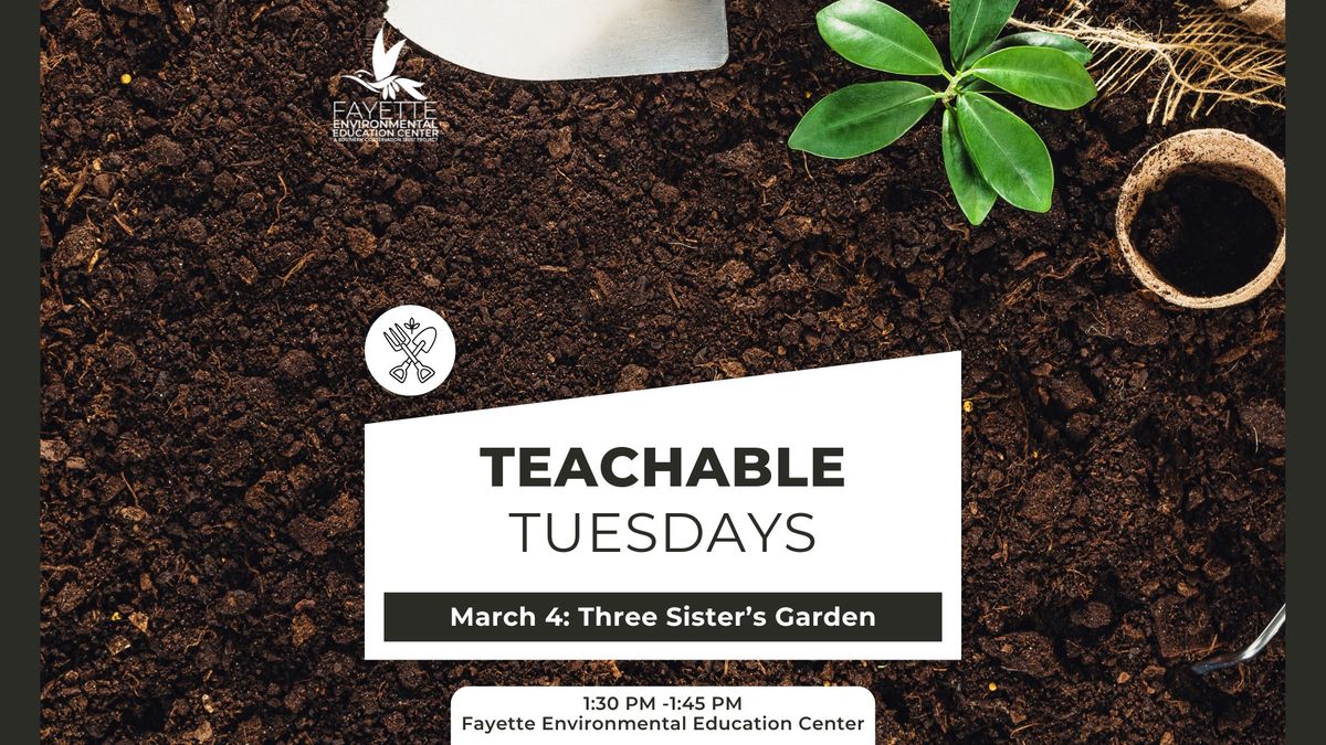 March Teachable Tuesdays- Three Sisters Garden