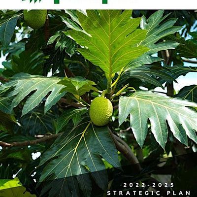 Breadfruit People