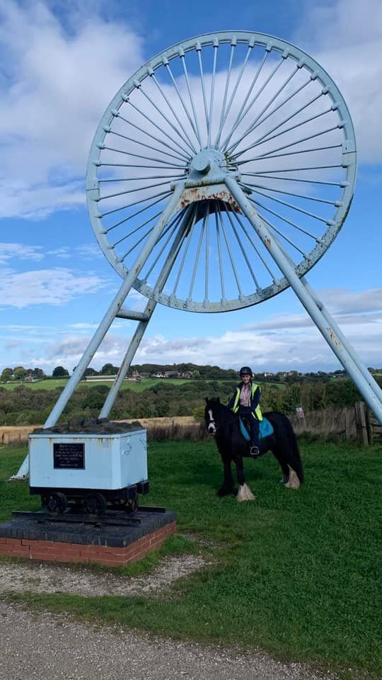 NSBA January Ride - Apedale Ride