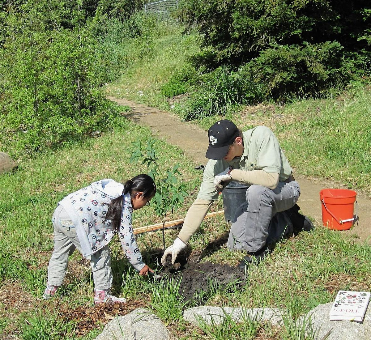 Milkweed Planting with Learning Among the Oaks