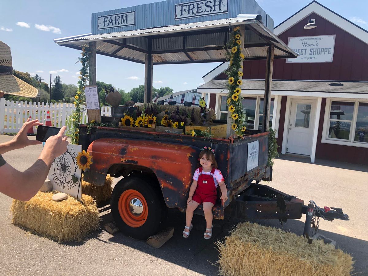 Toddler Hour at New Sweden Farms