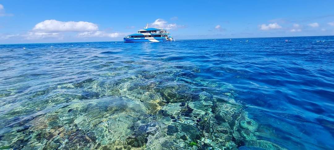 Great Barrier Reef Snorkelling Day Tour