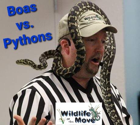 Wildlife On The Move Presents Boas vs. Pythons at Liberty Hill Public Library (Liberty Hill, TX)