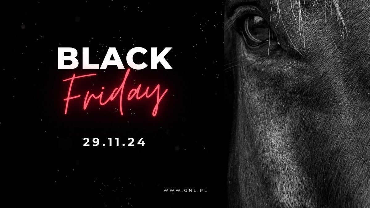 BLACK FRIDAY w Sklepie Je\u017adzieckim GNL 