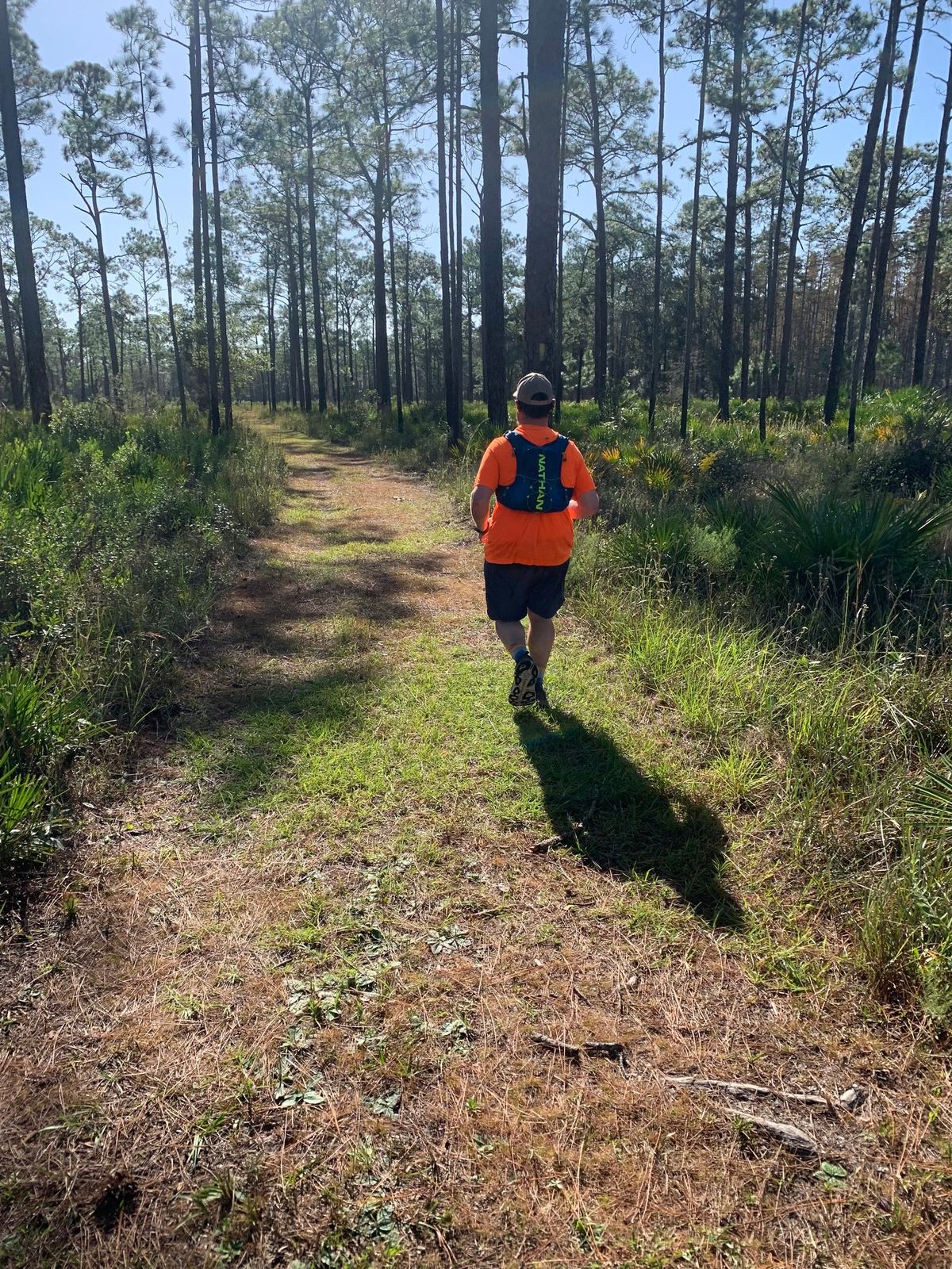 The Basics of Trail Running in Florida