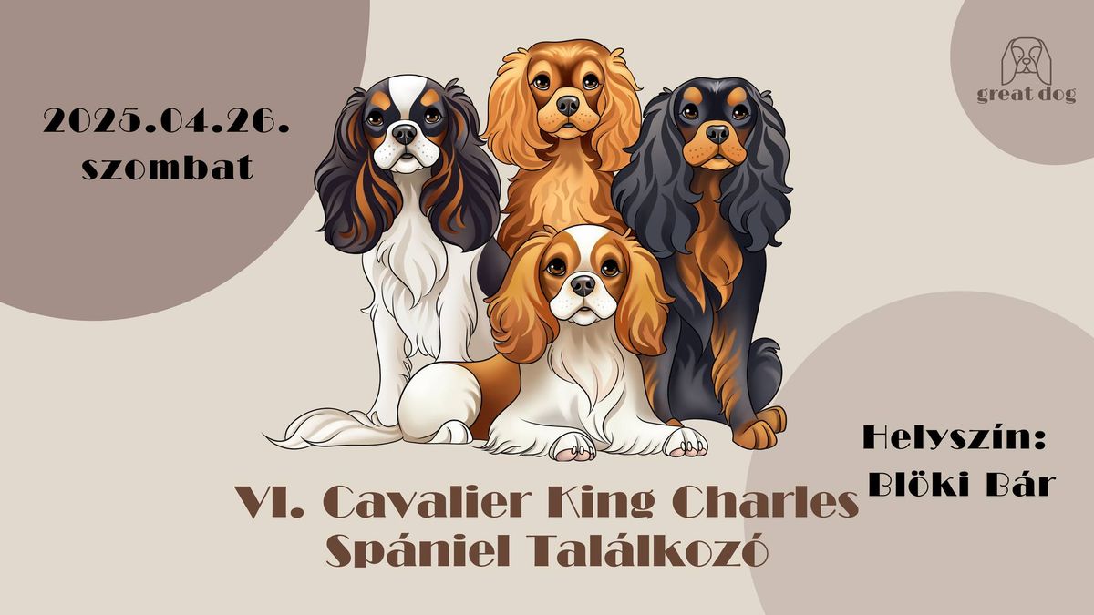 VI. Great Dog Cavalier King Charles Sp\u00e1niel Tal\u00e1lkoz\u00f3