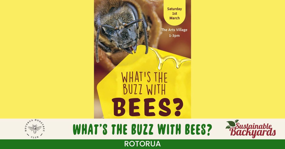 What's the Buzz with Bees?