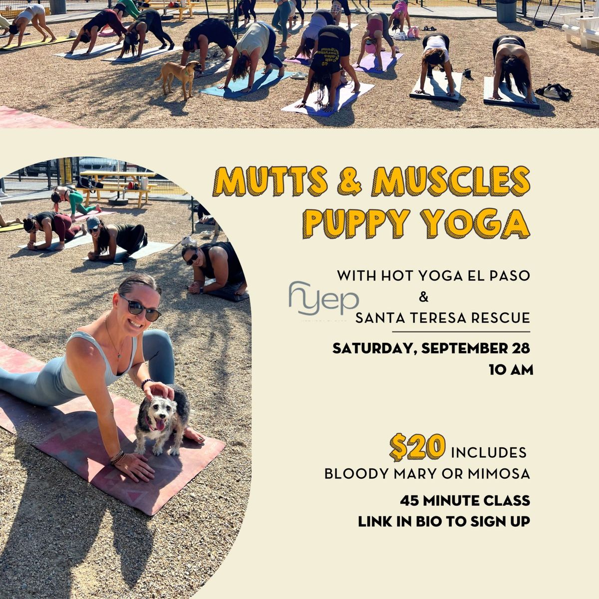 MUTTS & MUSCLES  Puppy Yoga