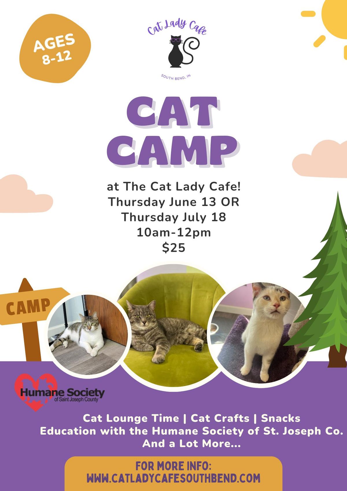 Cat Camp!  Kids ages 8-12
