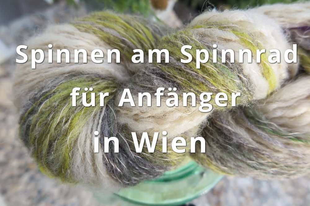 Spinnen f\u00fcr Anf\u00e4nger im Woll Habitat