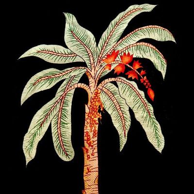 Tropikalia Social Club