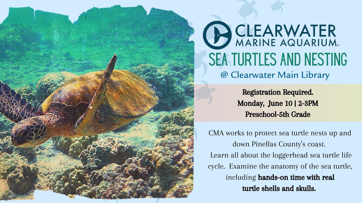 Sea Turtles and Nesting presented by Clearwater Marine Aquarium