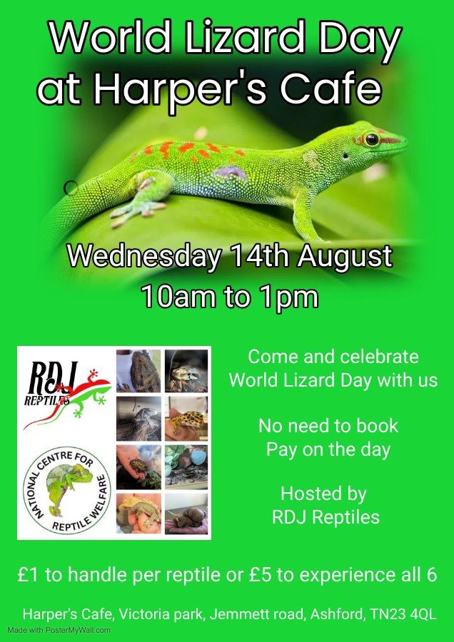 World Lizard Day with RDJ Reptiles