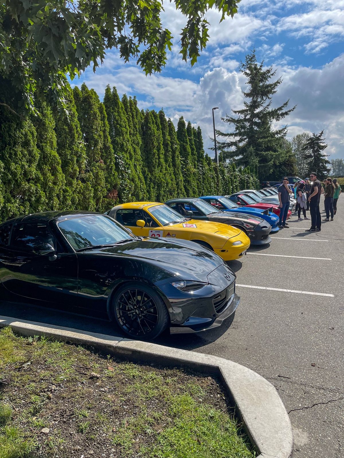 Fall 2024 Miata Cruise